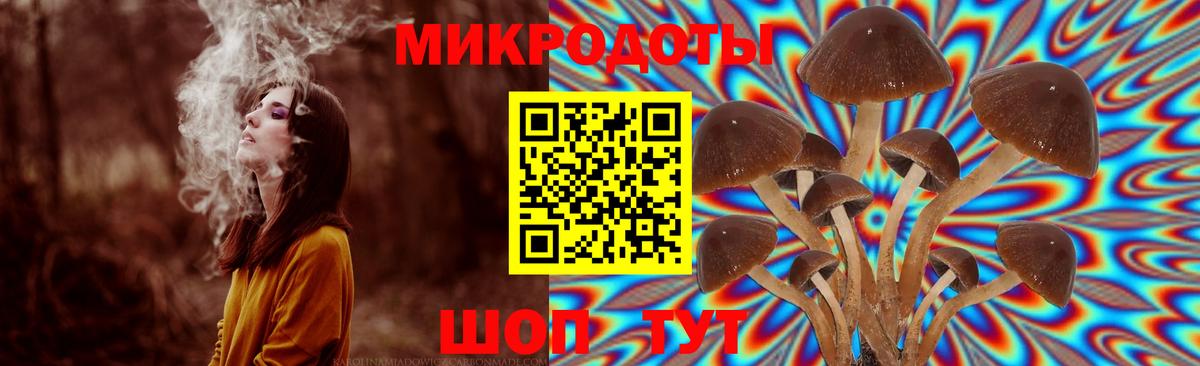 Галлюциногенные грибы мухоморы Абинск